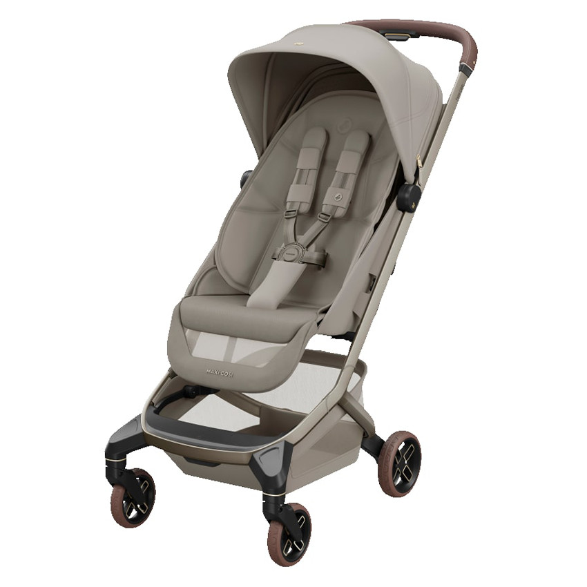Maxi Cosi Fame Cabin